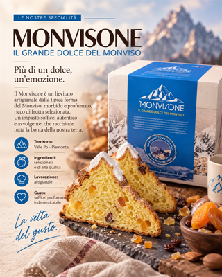 MONVISONE